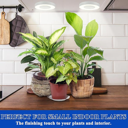 Tujoe 3 Pcs Ceiling Grow Light Self Adhesive Grow Lights for Indoor Plants 144 LED Light with 4/8/12h Auto Switch, 4 Dimmable Brightness Sun Lamp for Plants Full Spectrum Plant Growing Lamps