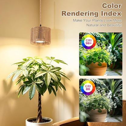Hanging Grow Light for Indoor Plants, 30W 4000K Full Spectrum LED Pendant with Timer, Hand-Woven Shade, 15FT Cord, Kit for Flowering Plants, Pothos, Kitchen Office