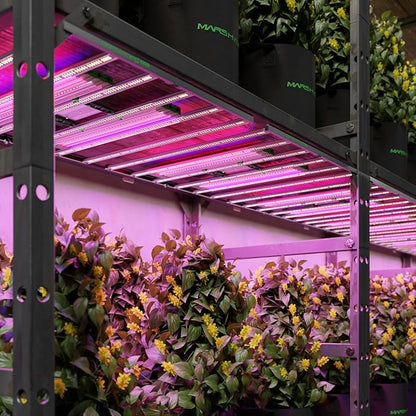 Mars Hydro ADlite UV30 & IR15 LED Grow Light for Indoor Plants, 3x3 ft Coverage Far Red Light Bars for Commercial Farming or Home Gardening, Supplemental for TSW2000/TS3000/FC3000/FCE3000/FC/FCE4800