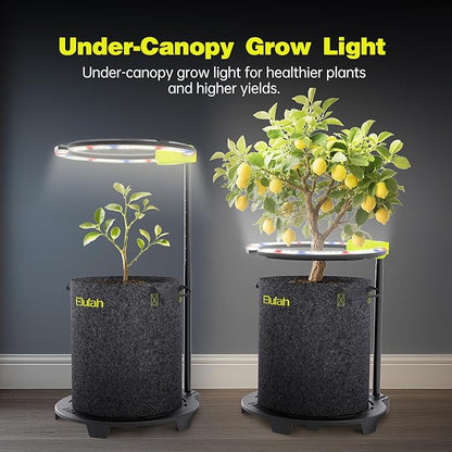 Saturn240 24W Under Canopy LED Grow Light, Full Spectrum Grow Lights for Indoor Plant Seeding/Veg/Bloom, Adjustable Height 12''-22'', 3-in-1 Controller Plant Light for 2x2ft Indoor Growing