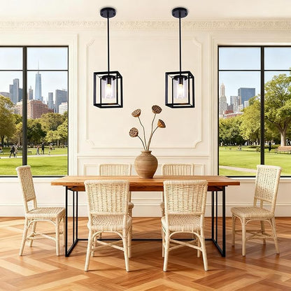 2 Pack Black Pendant Lights for Kitchen Island, Farmhouse 1-Light Iron Cage Metal Hanging Light with Clear Glass Shade, Industrial Lighting Fixtures for Living Room Bedroom Hallway Foyer