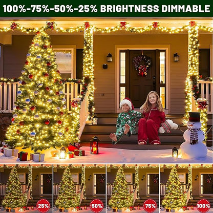 100FT 300 LED Color Changing Christmas Lights, Warm White & Multicolor Outdoor String Lights with Remote, Waterproof Fairy Twinkle Light for Outside Indoor Home Patio Yard Party Garden Decorations