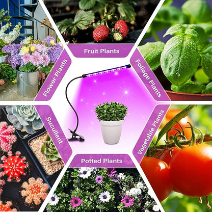 iPower LED Grow Light Strips Full Spectrum for Indoor Plants with Auto ON/Off 3/9/12H Timer, 10 Dimmable Levels Per Tube, Sunlike Grow Lamp for Hydroponics Succulent, Red&Blue, 1 Tubes