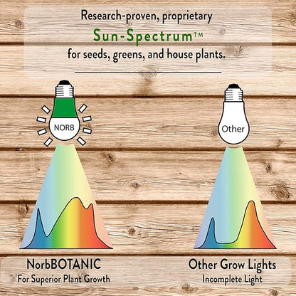 Norb NorbBOTANIC A19 LED Grow Light – Full-Spectrum 9W Plant Light, Mimics Sunlight for Seed Germination, Optimal Indoor Plant Growth, Herbs, Tropical, Houseplants, High-Intensity, E26 (4-Pack)