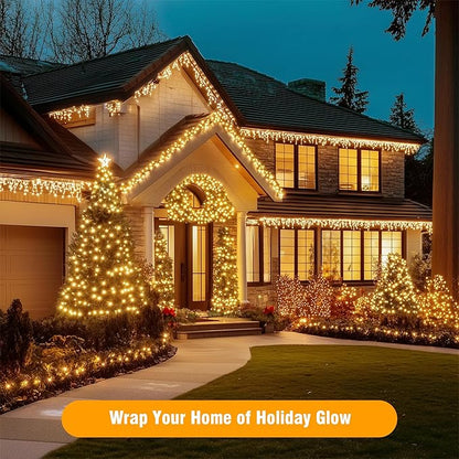 ASENEK Christmas Lights 33FT 100 LED 8 Modes with Timer Connectable Decorative String Lights for Xmas Tree Patio Party Warm White
