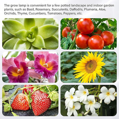 iPower 20W LED Plant Grow Light Strips Full Spectrum for Indoor Plants with Auto ON/Off 3/9/12H Timer, 10 Dimmable Levels 48 LEDs Per Tude, for Hydroponics Succulent, 4 Tubes*2, Red&Blue