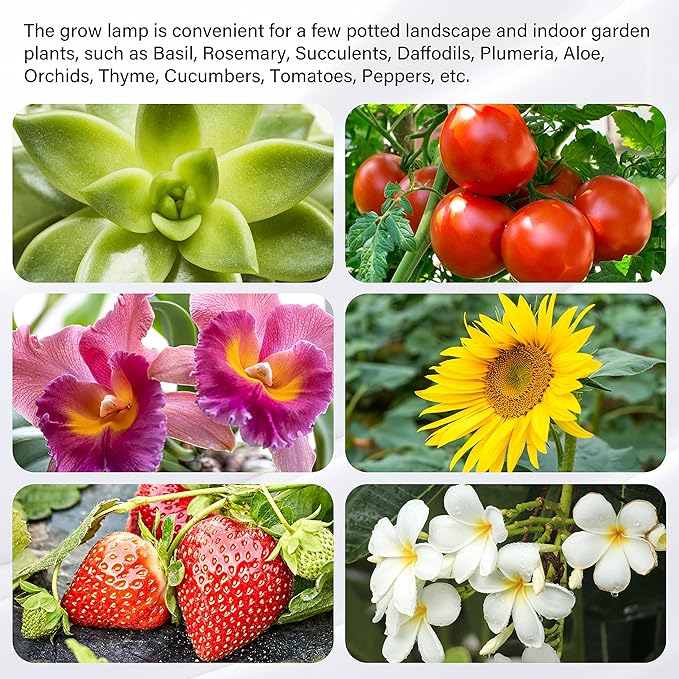 iPower LED Grow Light Strips Full Spectrum for Indoor Plants with Auto ON/Off 3/9/12H Timer, 10 Dimmable Levels 48 LEDs Per Tube, Sunlike Grow Lamp for Hydroponics Succulent, 1 Pack, Red&Blue, 4 Tubes