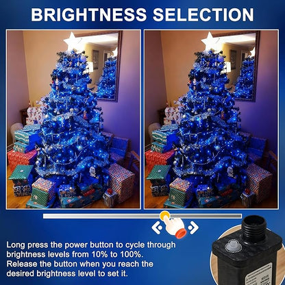 RPGT Christmas Light 1000 LEDs 336ft Green Cable Wire Fairy String Tree Twinkle Lights Plug in 12 Modes for Christmas Party, Outdoor, Garden, Wedding, Home Decoration (Blue)