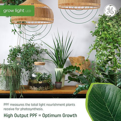 GE Grow Lights for Indoor Plants, A19 LED Light Bulbs for Seeds and Greens with Balanced Light Spectrum, White Indoor Plant Light, 25,000 Hours Lifespan, 16 PPF, 4 Pack (Packaging May Vary)