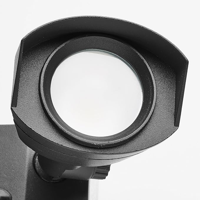 Nuvo 65/214 LED Dual-Head Security Light, 3000K, Black
