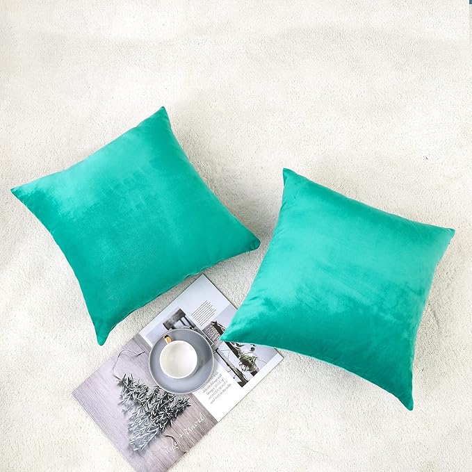 NiNi ALL Decorative Throw Pillow Covers Velvet 28x28 Inch Pack of 2 Aqua Green Cushion Covers Soft for Couch Sofa Bedroom Living Room Outdoor