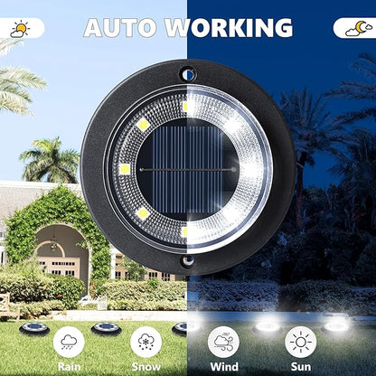 Flacchi Solar Lights Outdoor Waterproof - 2-in-1 Solar Powered Ground Lights Outdoor Solar Disk Light Landscape Light for Deck Step Patio Yard Pathway Walkway Driveway Garden (Cool White, 12 Pack)