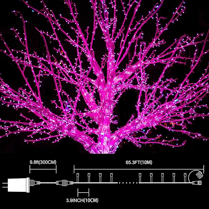 LAMPHOME 33ft Valentine Lights String, 100 LED Green Wire Pink Fairy Starry String Lights Plug in,16 Lighting Modes for Valentines Day Tree Decorations Wedding Party Decoration (Pink)