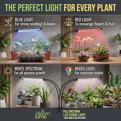 Bloom Lume LED Grow Lights for Indoor Plants Full Spectrum - Features Multi Mode Color Spectrums, Dimmable, Auto Timer, Clip on Goosneck Plant Lamp