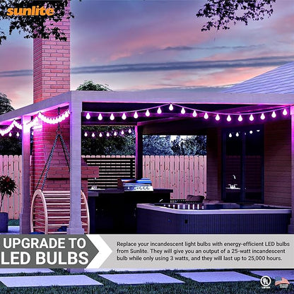 Sunlite 80132-SU LED A19 Standard a Type Light Bulb, 2 Pack, Purple