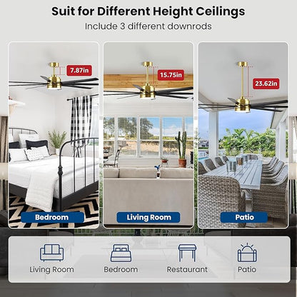 Conciseer 65 Inch Ceiling Fans with Lights and Remote for Bedroom Living Room Kitchen Office, Indoor/Outdoor Use, 6CCT, 8 Blades 6 Speed Reversible Dimmable Quiet DC Motor, Gold/Black